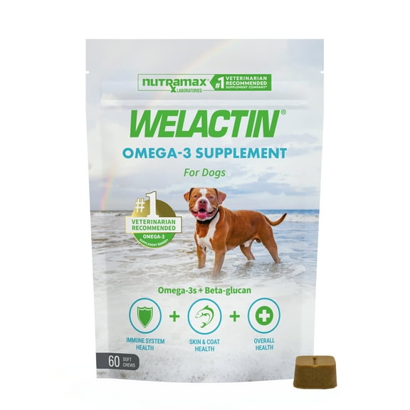 Nutramax Welactin Daily Omega-3 Supplement For Dogs, Skin & Coat Health Plus Overall Health, 60 Soft Chews