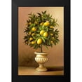 thumbnail image 1 of Welby 11x14 Black Modern Framed Museum Art Print Titled - Potted Lemon Tree, 1 of 4