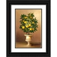 thumbnail image 1 of Welby 11x14 Black Ornate Wood Framed with Double Matting Museum Art Print Titled - Potted Orange Tree, 1 of 4
