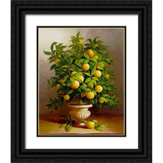 Welby 12x14 Black Ornate Wood Framed with Double Matting Museum Art Print Titled - Potted Orange Tree