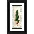 thumbnail image 1 of Welby 12x24 Black Ornate Wood Framed with Double Matting Museum Art Print Titled - Ivy Topiary III, 1 of 4