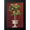 thumbnail image 1 of Welby 17x24 Black Modern Framed Museum Art Print Titled - Potted Palm in Red I, 1 of 4