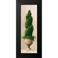 thumbnail image 1 of Welby 7x14 Black Modern Framed Museum Art Print Titled - Roman Topiary I, 1 of 4