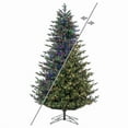 thumbnail image 1 of Vickerman G183278LEDCC 7.5 ft. x 58 in. Welch Fraser 3 mm 1150CC Christmas Tree, 1 of 10