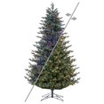 thumbnail image 1 of Vickerman G183283LEDCC 8.5 ft. x 64 in. Welch Fraser 3 mm 1600CC Christmas Tree, 1 of 10
