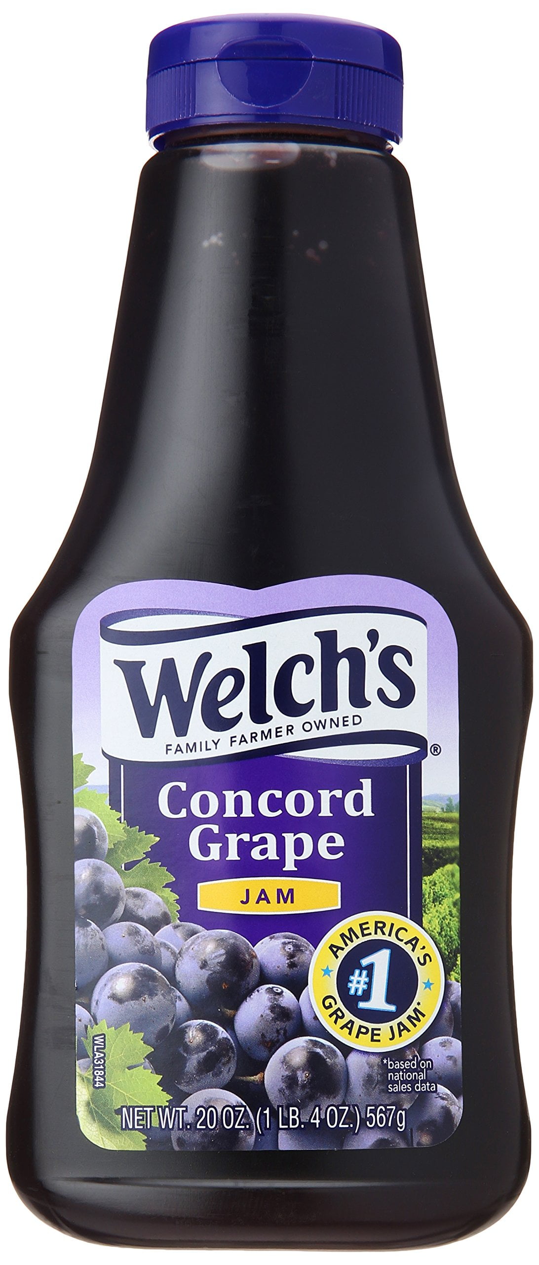 Welch,S Concord Grape Jam, 20 Oz
