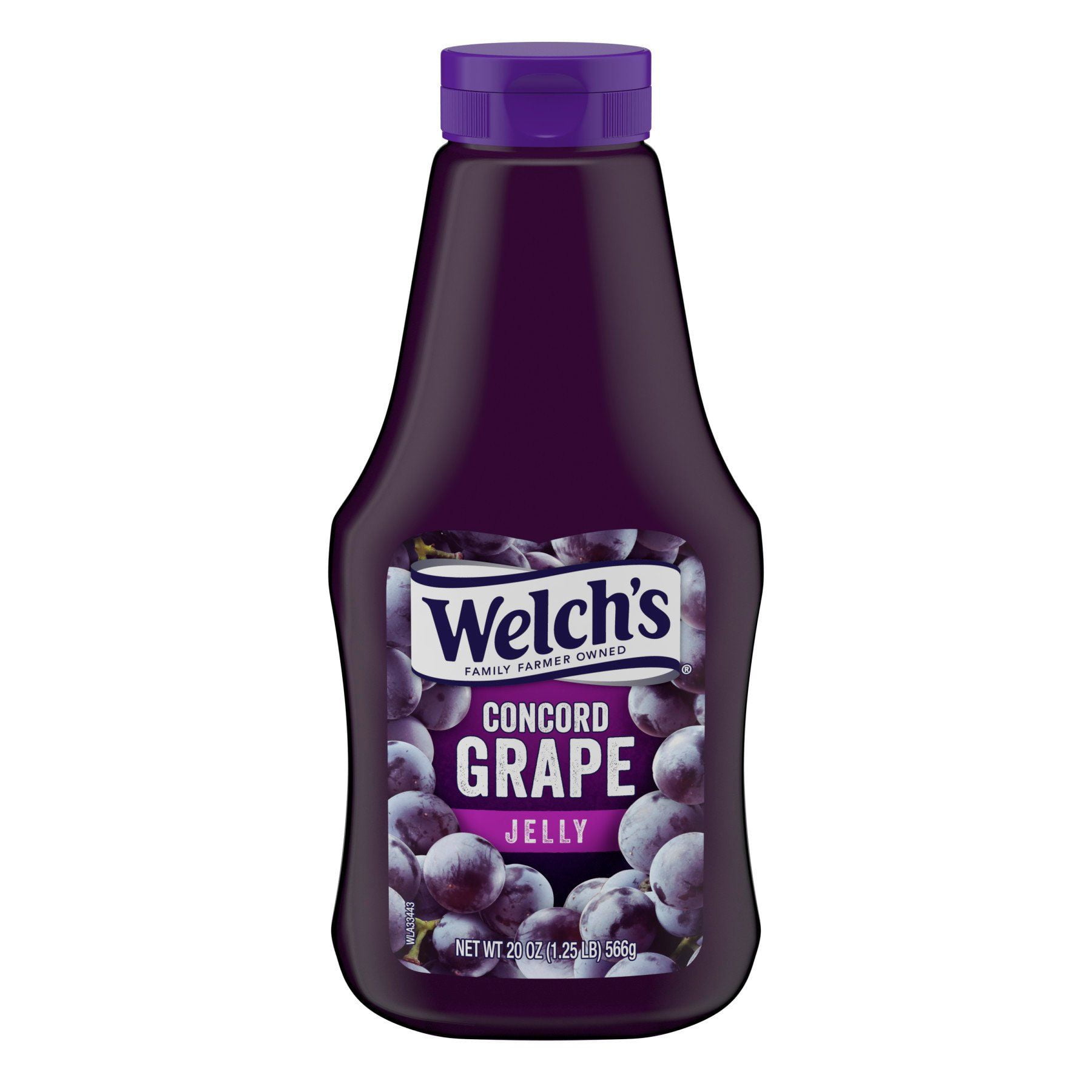 Welch's Concord Grape Jelly - 20 oz Package May Vary