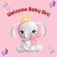 thumbnail image 1 of Welcome Baby Girl!, (Paperback), 1 of 1