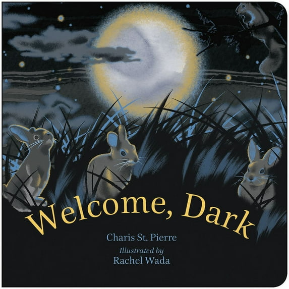 Welcome, Dark, (Board Book)