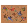 thumbnail image 1 of Welcome Doormat Coco Coir Door Mat Gift Watercolor Birds (30" x 18"), 1 of 1