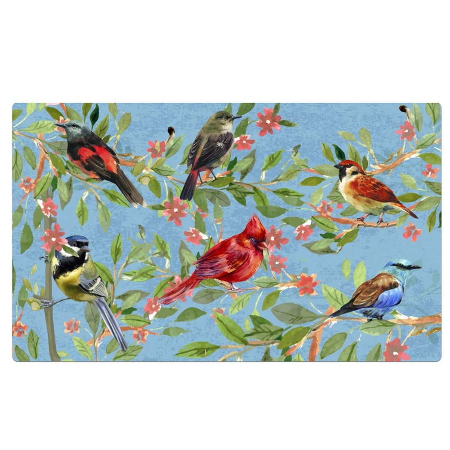 Welcome Doormat, Entrance Mat Floor Mat Rug for Indoor Outdoor Front Door with Non-Slip Rubber Backing