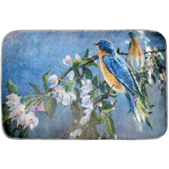 Welcome Doormat Two Blue Birds Indoor Outdoor Entrance Door Mat Bath Rug Decorative Front Door Mats Kitchen Door Mats Porch Mats Home Decor 24 x16 Inch