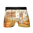 thumbnail image 1 of Welcome Fall Afghan Hound Cozy Autumn Field Pumpkins Golden Leaves All Over Print Boxer Briefs Underwear for Men Dad Dog Lover - 12013, 1 of 6