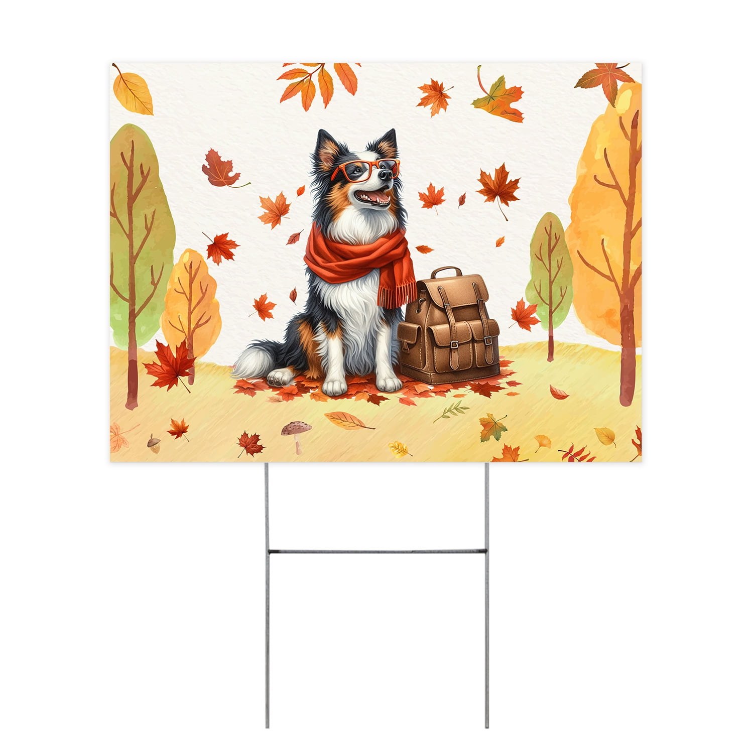 Welcome Fall Border Collie Enjoys School Time Autumn Fall Leaves Yard ...