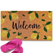 MAINEVENT Lemon Spring Doormat 30x17 Inch, Outdoor Welcome Mat for Outside