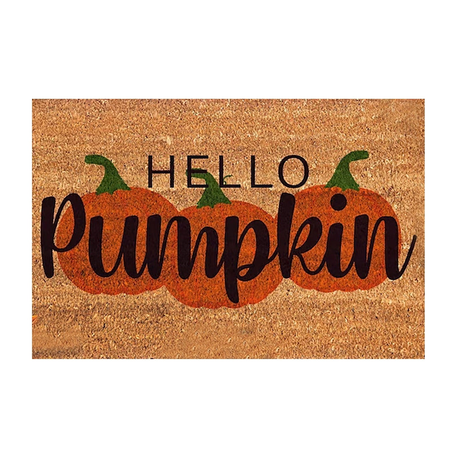 Mat For Front Door Outdoor Stain And Fade Resistant