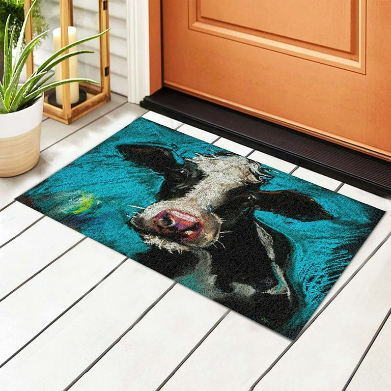 REINDEER FLY Welcome Mat Indoor Outdoor Doormat, Door Mat Outdoor