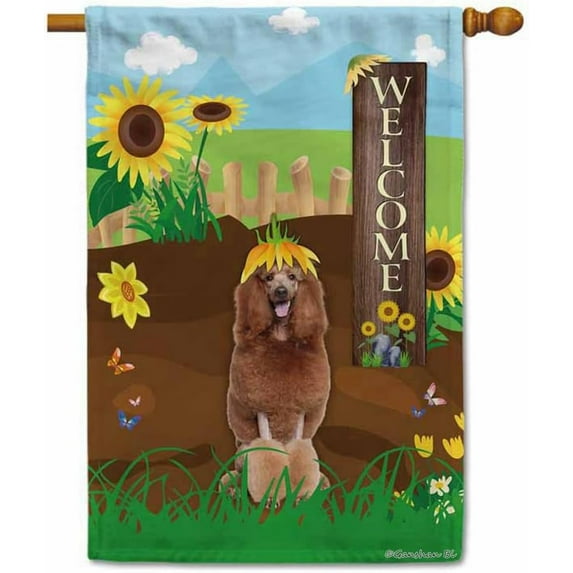 Welcome Summer Sunflower Dog House Flag Red Standard Poodle on Country Farm Butterfly Flowers Decor Banner for Outside Yard 28x40 Inch Double Side
