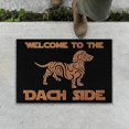 to The Dach Side Dachshund Themed Doormat,Novelty Flannel Floor