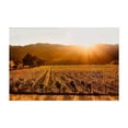 thumbnail image 1 of Welcome to Napa Valley - California Photography Vineyard Sunset Landscape Autumn Nature Scenic Pastoral Unframed Wall Art Print 8 x 12 inches, 1 of 7