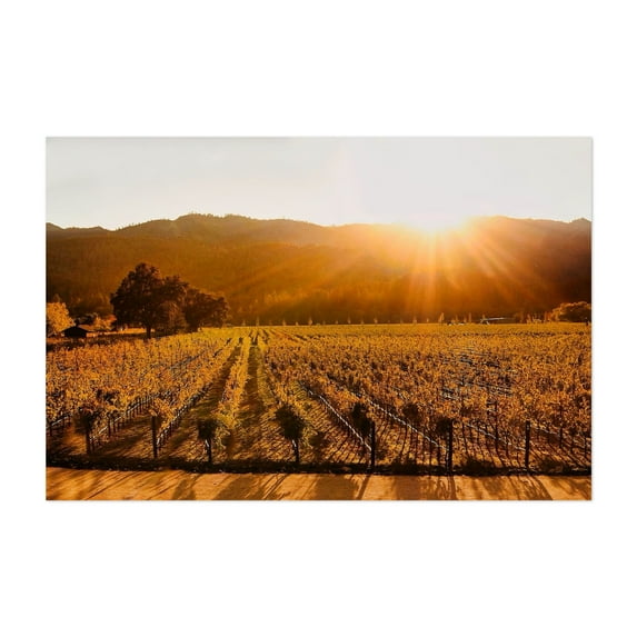 Welcome to Napa Valley - California Photography Vineyard Sunset Landscape Autumn Nature Scenic Pastoral Unframed Wall Art Print 8 x 12 inches