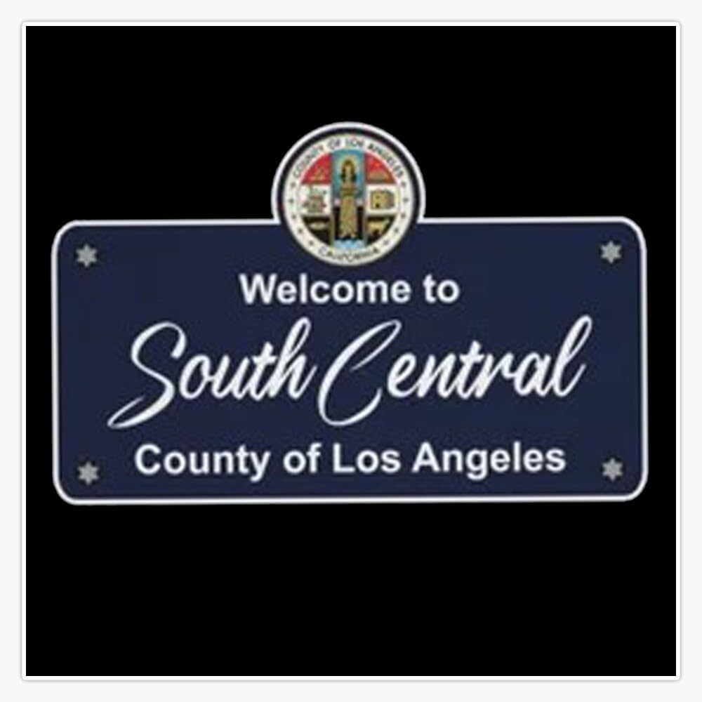 to South Central LA Window Water Bottle Bumper Sticker Decal 3*