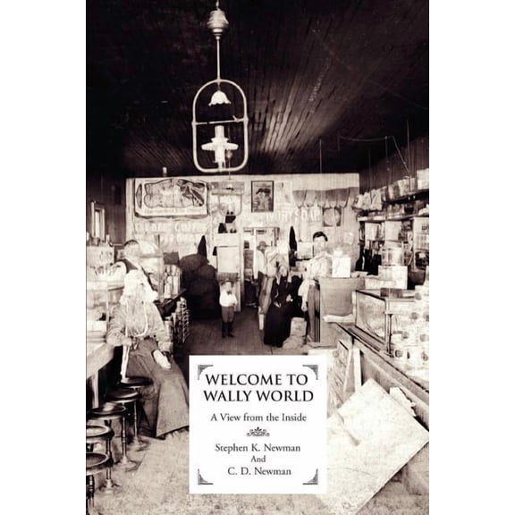 Welcome to Wally World: A View from the Inside (Paperback)