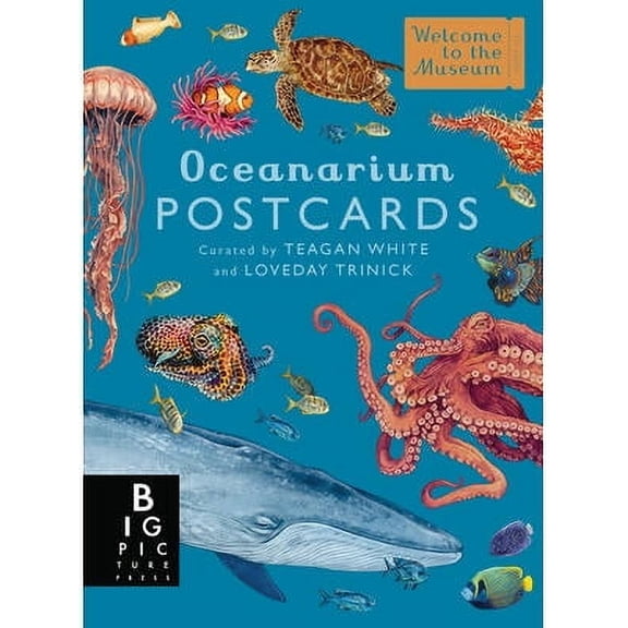 Oceanarium Postcard Box Set