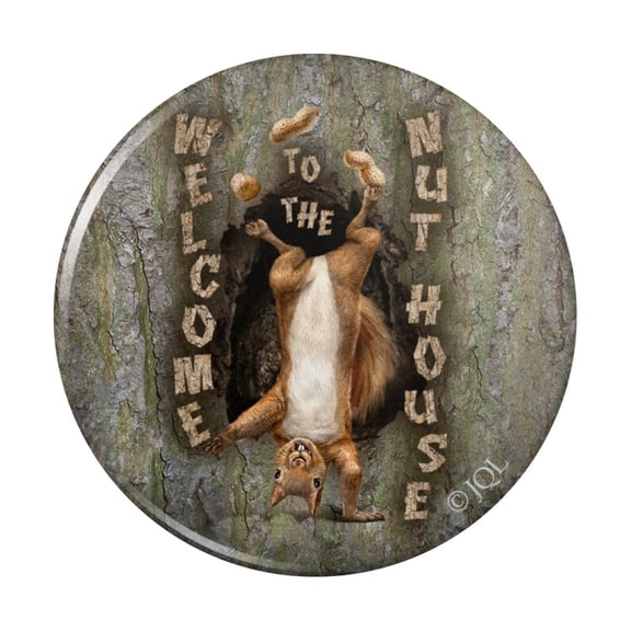Welcome to the Nut House Squirrel Kitchen Refrigerator Locker Button Magnet