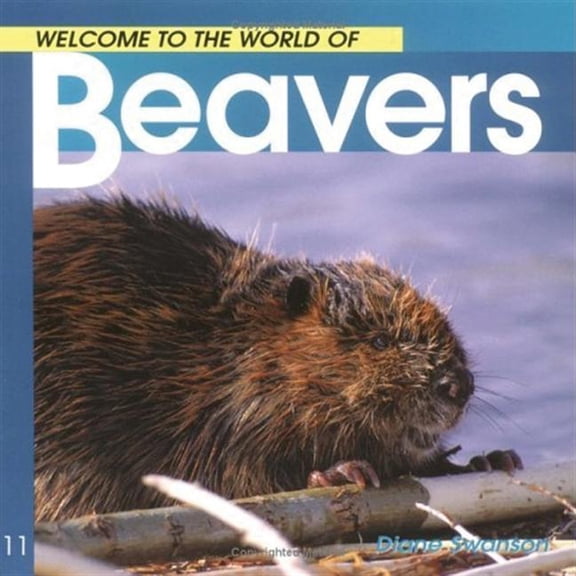 Welcome to the World: Welcome to the World of Beavers (Paperback)
