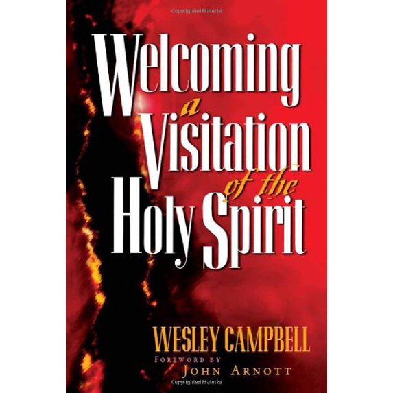Pre-Owned Welcoming a Visitation: The Toronto Blessing (Paperback) 0884194108 9780884194101
