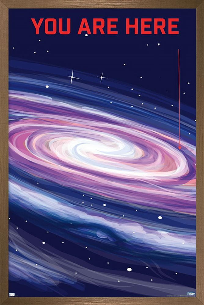 Well This Is Awkward - You Are Here Wall Poster, 14.725" x 22.375" Framed