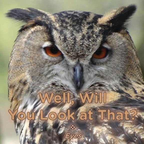 Well, Will You Look at That? Eyes, (Paperback)