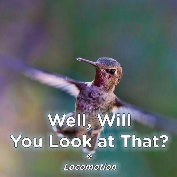 Well, Will You Look at That? Locomotion, (Paperback)
