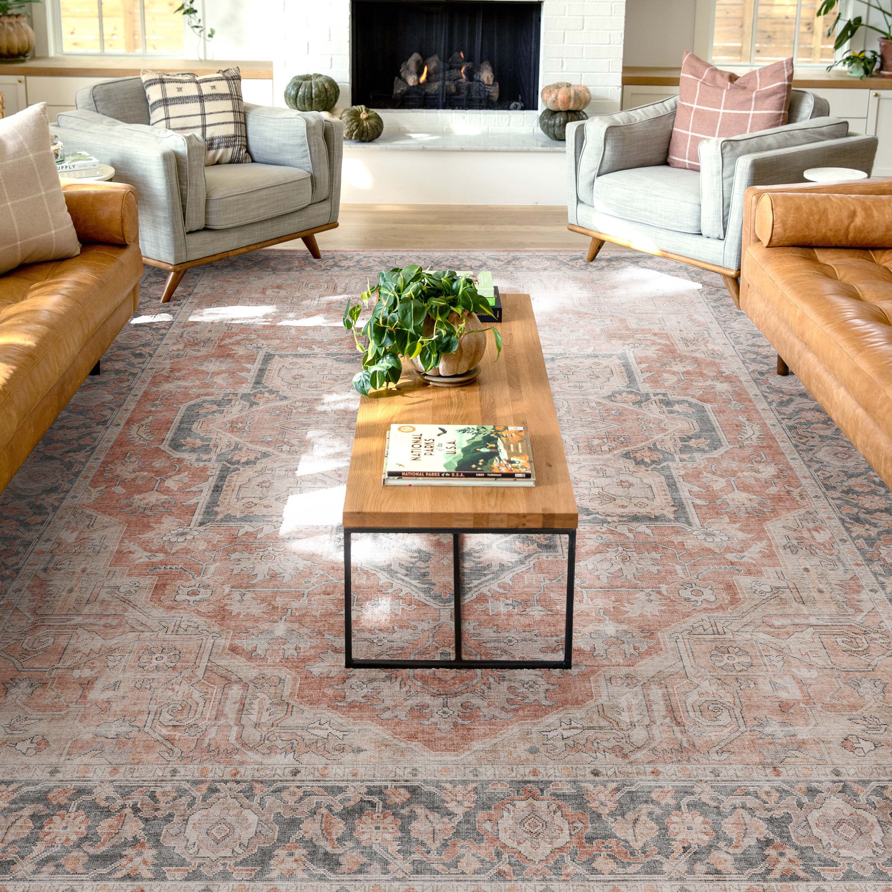 Apollo Red and Gray Oriental Chenille Area Rug