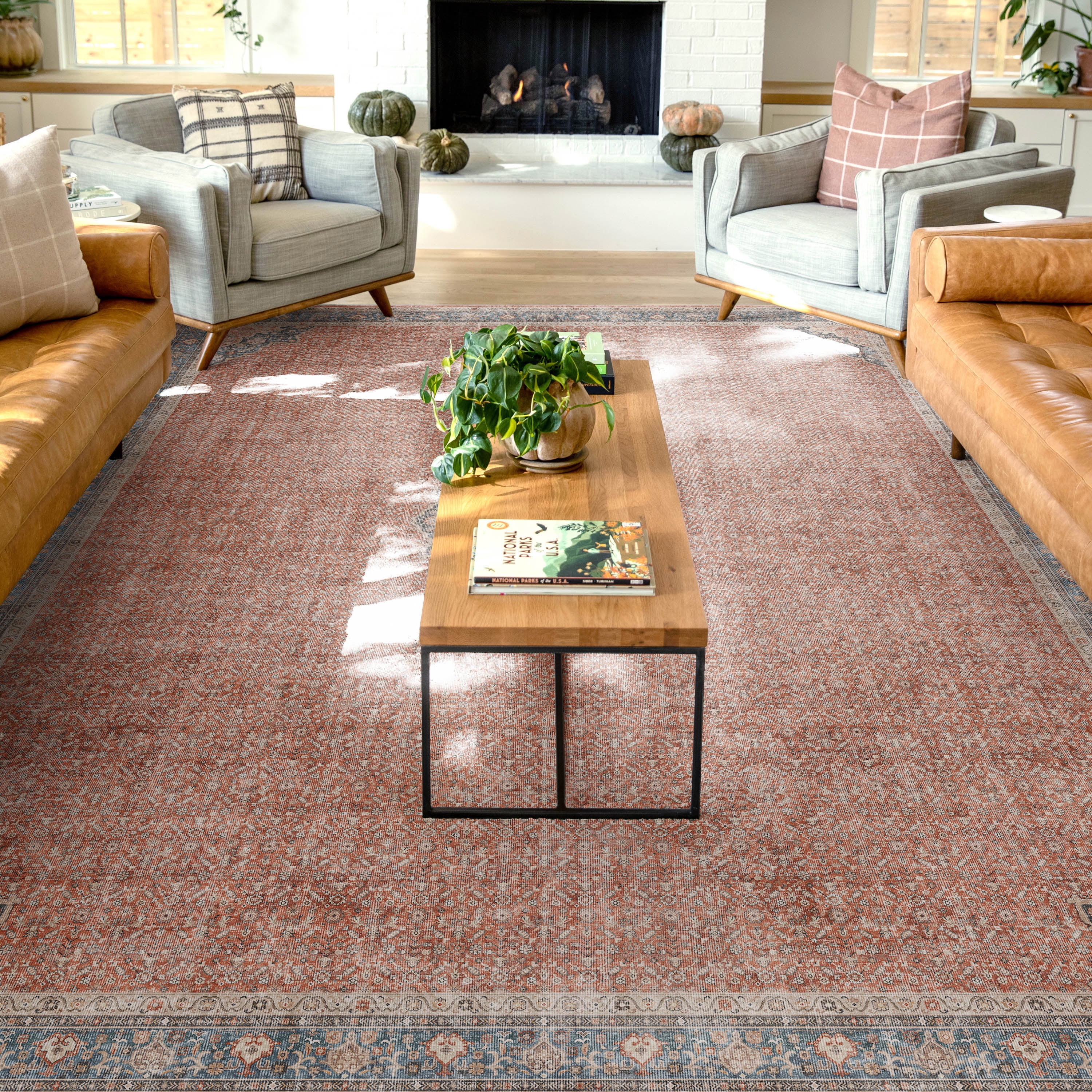 Asha Lilith Vintage Oriental Red Blue Chenille Area Rug 8' x 10'