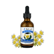 Well s Oil Meadowfoam Seed Oil | 2 fl oz 59 mL | Single-Ingredient Oil for Skin & Hair