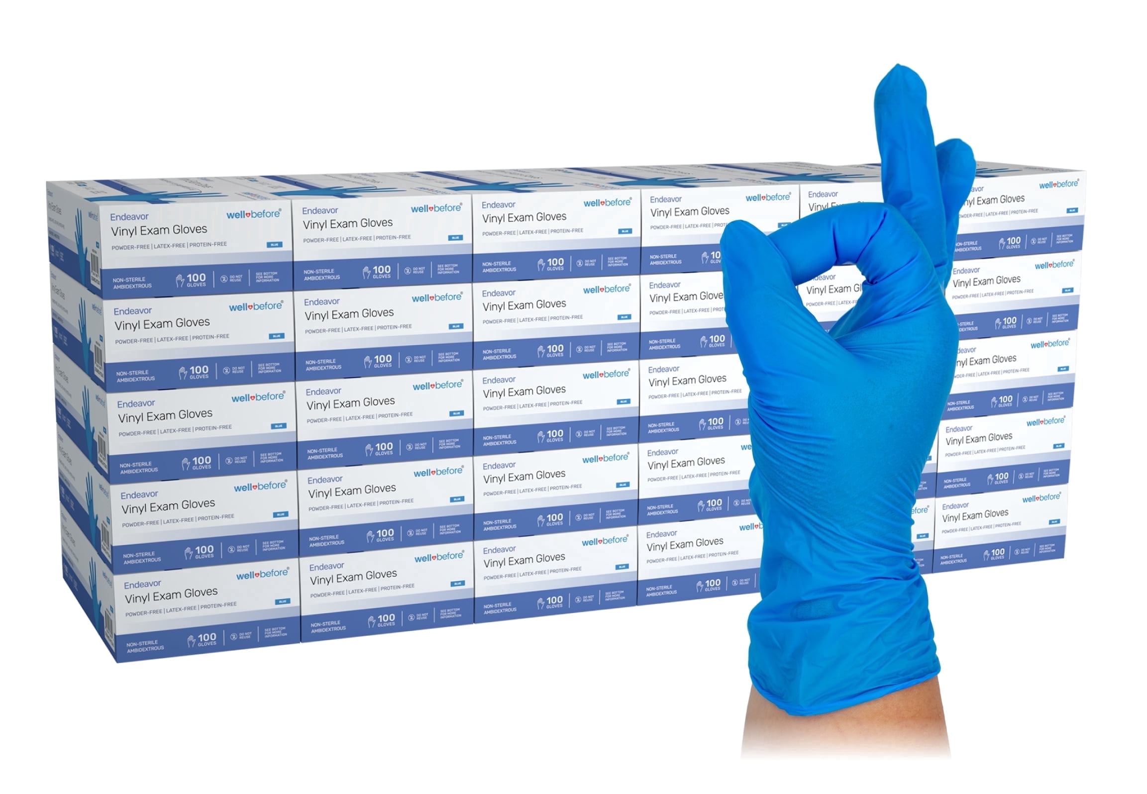WellBefore Blue Vinyl Disposable Gloves - Large 3000 Ct - Powder & Latex-Free Gloves