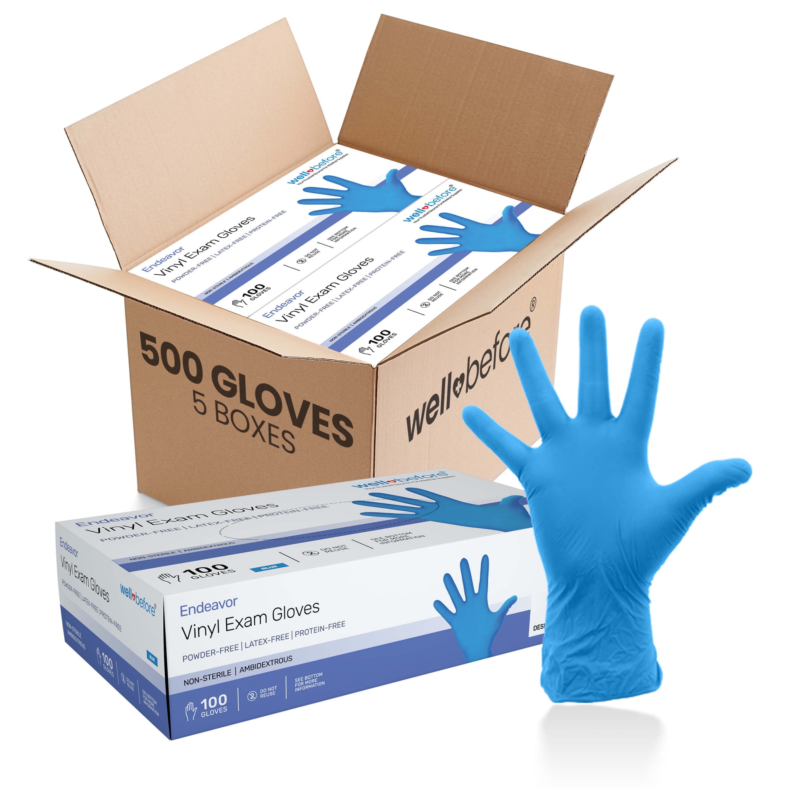 WellBefore Blue Vinyl Disposable Gloves Large 500 Ct Powder & Latex