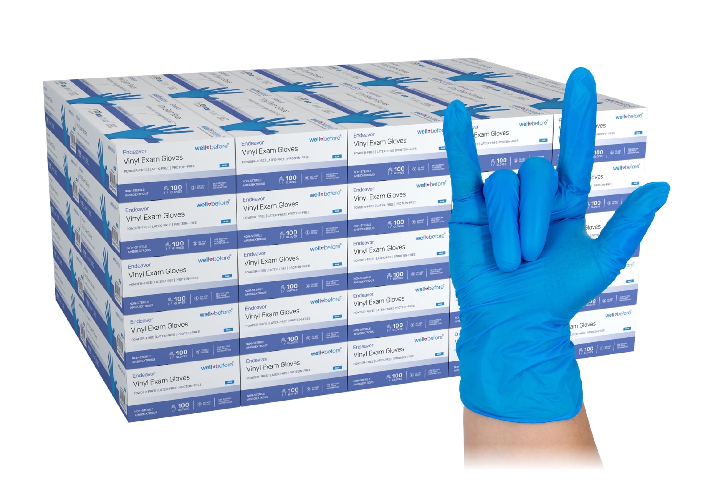 WellBefore Blue Vinyl Disposable Gloves - Large 5000 Ct - Powder & Latex-Free Gloves