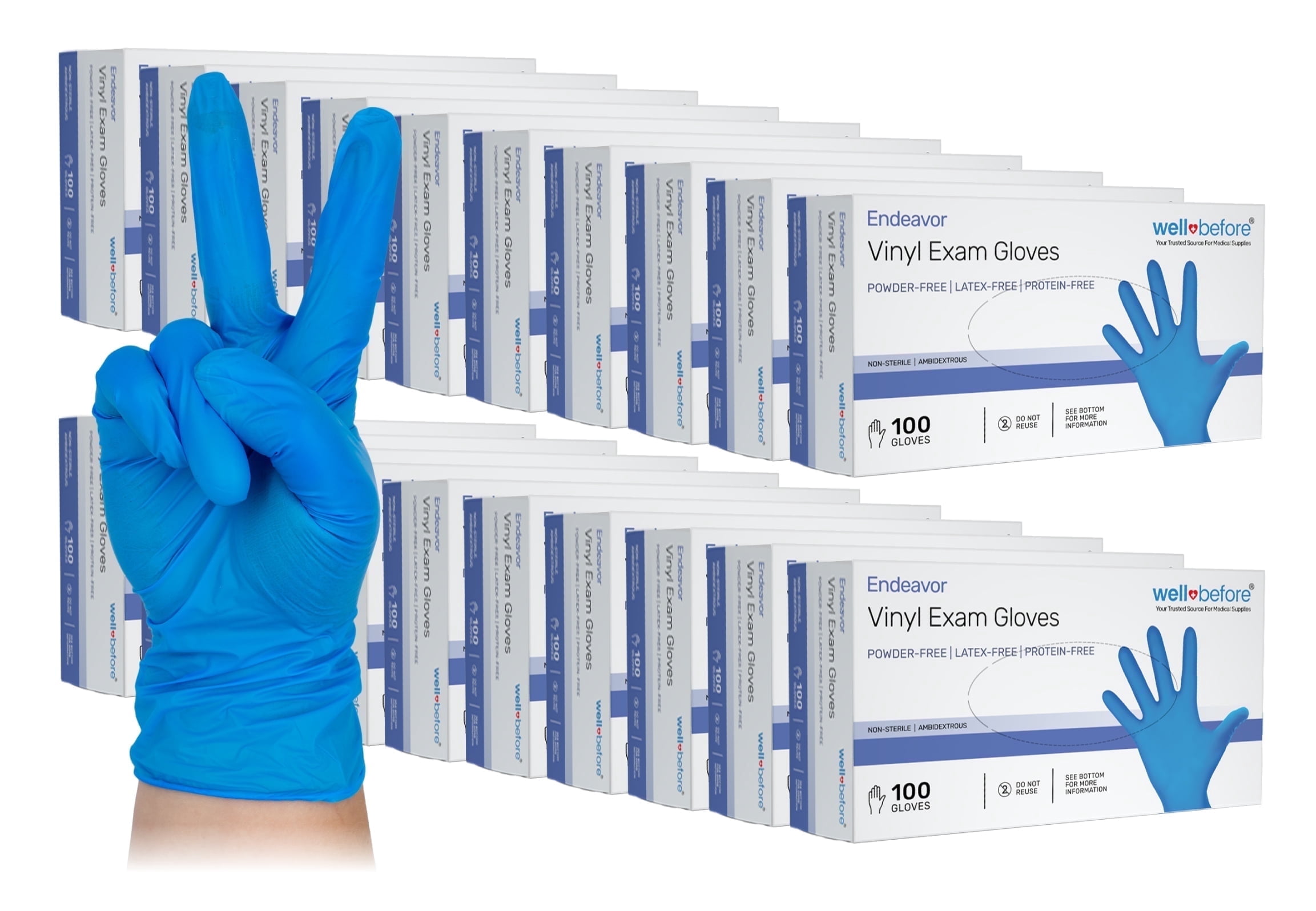 WellBefore Blue Vinyl Disposable Gloves - Medium 2000 Ct - Powder & Latex-Free Gloves