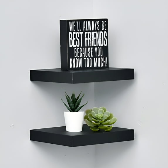 Welland Set of 2 Floating Shelves Wall Mounted Shelf, for Home Décor with 8" Deep (Black, 10 Inches)
