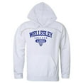 thumbnail image 1 of Wellesley College Blue Alumni Hoodie, White - Large, 1 of 1