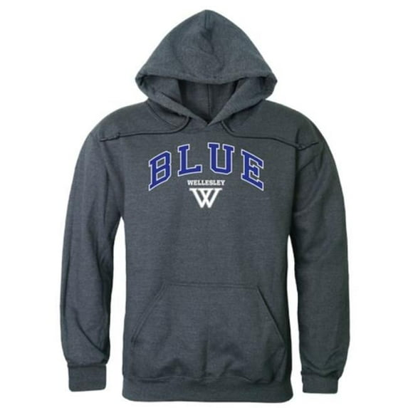 Wellesley College Blue Campus Hoodie, Heather Charcoal - 2XL