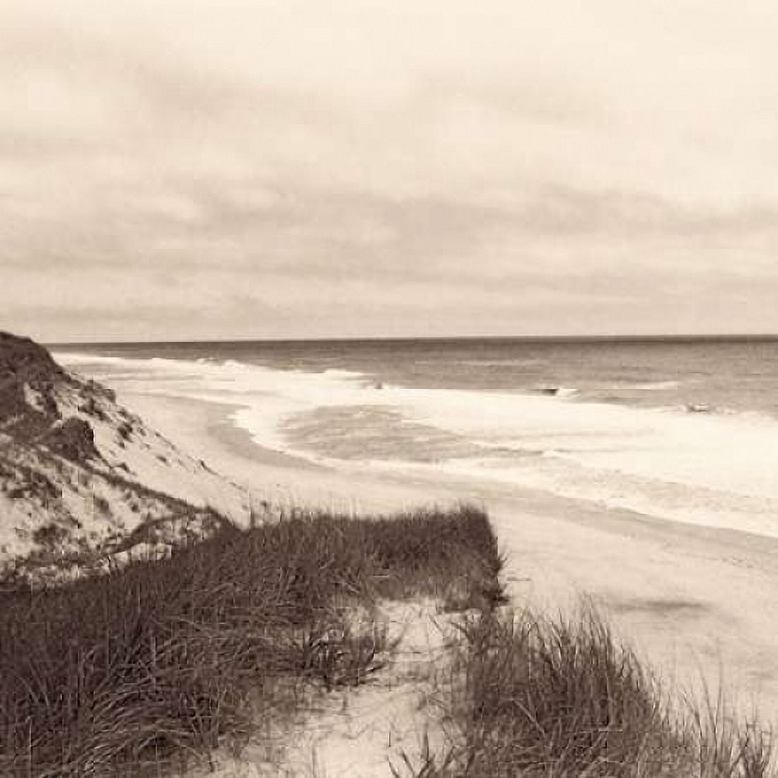 Wellfleet Dune Canvas Art - Christine Triebert (24 x 24)
