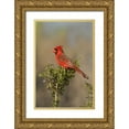 thumbnail image 1 of Welling, Dave 11x14 Gold Ornate Wood Framed with Double Matting Museum Art Print Titled - Texas Male northern cardinal atop tree limb, 1 of 4