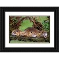 thumbnail image 1 of Welling, Dave 14x11 Black Ornate Wood Framed with Double Matting Museum Art Print Titled - Louisiana,  Family of wild nutria resting on log, 1 of 4