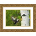 thumbnail image 1 of Welling, Dave 14x11 Gold Ornate Wood Framed with Double Matting Museum Art Print Titled - WA, YakimaPleated woodpecker at nest with chicks, 1 of 4