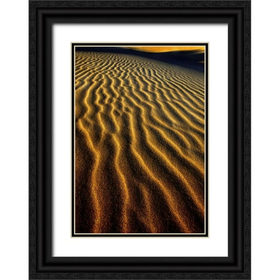 Welling, Dave 14x18 Black Ornate Wood Framed with Double Matting Museum Art Print Titled - Oregon, Oregon Dunes NRA Dune pattern abstract