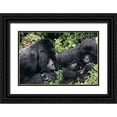 thumbnail image 1 of Welling, Dave 18x13 Black Ornate Wood Framed with Double Matting Museum Art Print Titled - Zaire, Virungas NP Wild mountain gorilla family, 1 of 4